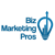 Biz Marketing Pros Logo