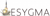 Esygma Digital Marketing Company Logo