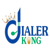 DialerKing Technology Logo