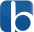 Bluelook:Web & mobile app development Logo