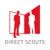 Direct Scouts Istanbul Logo