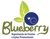 Blueberry Eventos Logo