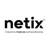 Netix Logo