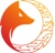 AiInfox Logo