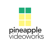 Pineapple Videoworks Logo