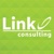 Link Consulting Services (LinkCS) Logo