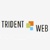 Trident Web Infoservices Pvt. Ltd. Logo