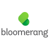 Bloomerang Logo