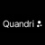 Quandri Technologies, Inc. Logotype