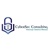 Cybersec Consulting Logo