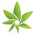 Cannabis Camera Logo