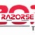 RAZORSE SOFTWARE PRIVATE LIMITED Logo