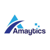 Amaytics Digital Services Pvt Ltd Logo