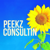Peekz ConsultiN LLC Logo
