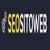 Seo Sito Web Logo
