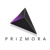 Prizmora Private Limited Logo