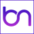 Brainy Neurals - AI Consulting Company Logo