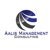 Aalis Management Consulting Logo