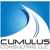 Cumulus Consulting, LLC Logo