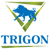 Trigon Creative Logo