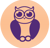 Smart Owl Info Systems Logo