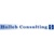 Holleb Consulting Logo