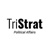 TriStrategies, LTD. Logo
