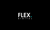 Flex Digital Agency Logo