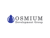 Provider Logotype Osmium Development Group Logo