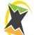 Web Media Star Logo