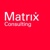 Matrix Consulting Logo