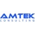 AMTEK CONSULTING Logo