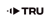 TRUSKAVKA Logo
