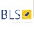 Brussels Language Services Logo