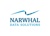 Narwhal Data Solutions Logo