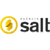 Agência Salt Logo
