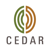 Cedar Management Consulting International Logo