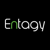 Entagy Internet Solutions Ltd Logo