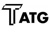 Turner Accounting & Technology Group Logo