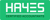 Hayes Accountants London Logo