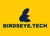 Birdseye Technical Services Inc. Logo