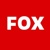 Fox Web Wizardz Logo