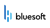 BlueSoft Sp. z o.o. Logo