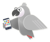 The Grey Parrots Logo