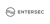 Entersec Logo