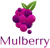 Mulberry Solutions Logo