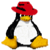Pinguis Web Logo