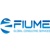FIUME Consulting Logo
