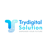 Trydigital Solution LLP Logotype