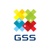 GSS 'Generate Software Solution' Logo